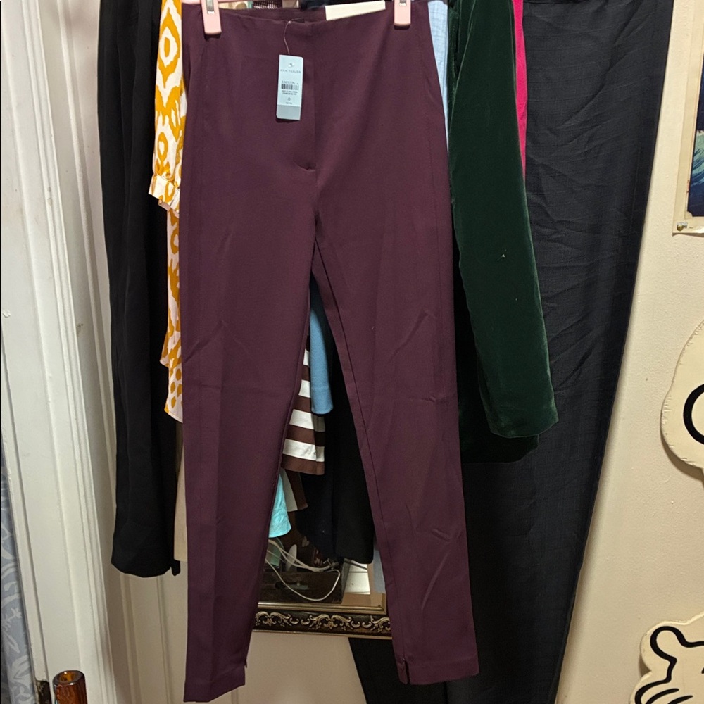 Women's Purple Pants